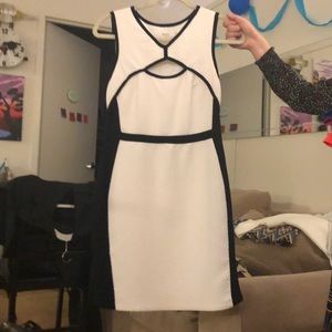Bailey 44 Dress